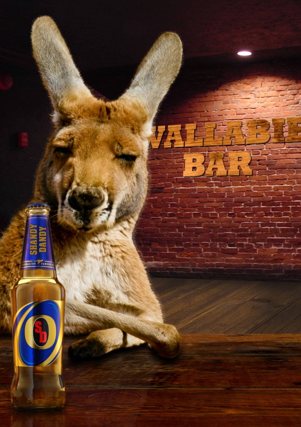 Creation of Wallabie Bar: Step 13